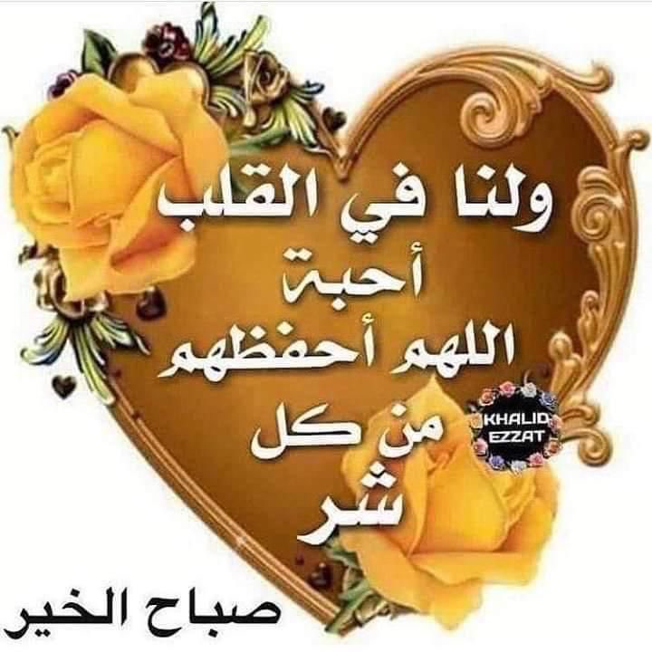 اسعد الله صباحكم بكل خير 🤍🤍
