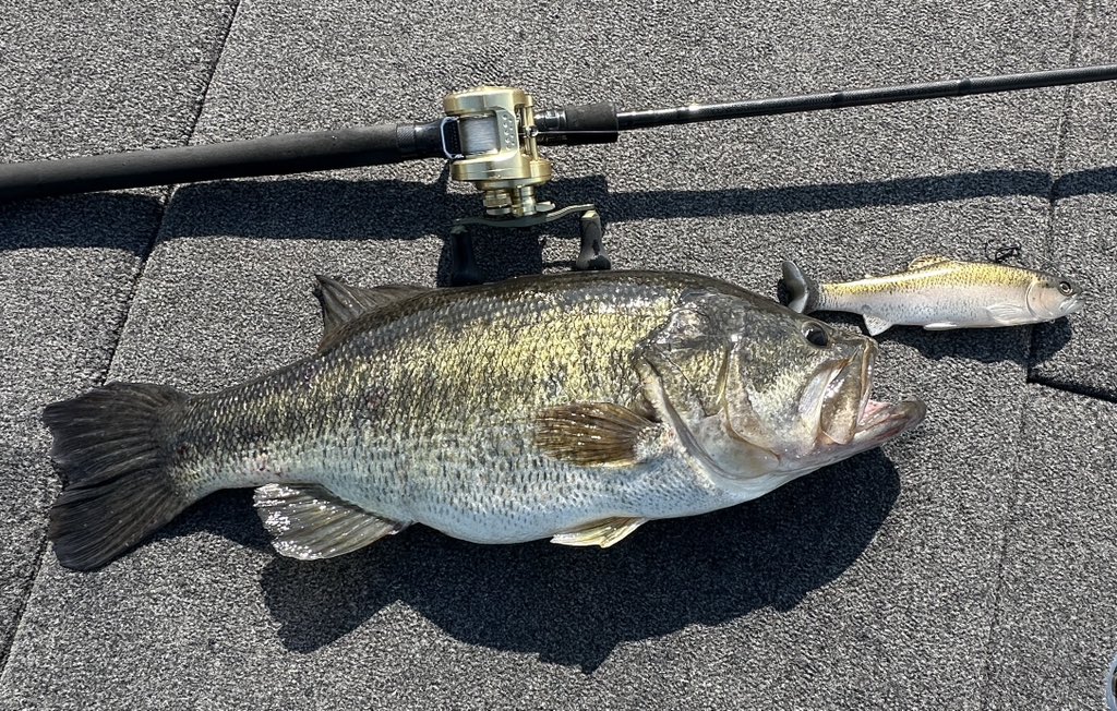 Low Down Customs (@lowdowncustoms) / Posts / X