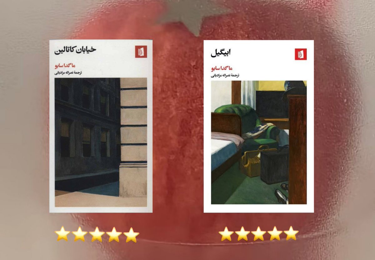 thefawndiary's tweet photo. کتاب‌های پنج‌ستاره من تو سال ۲۰۲۵.
.
.
ابیگیل و خیابان کاتالین از ماگدا سابو✨️ https://t.co/aDwzQZWB9h