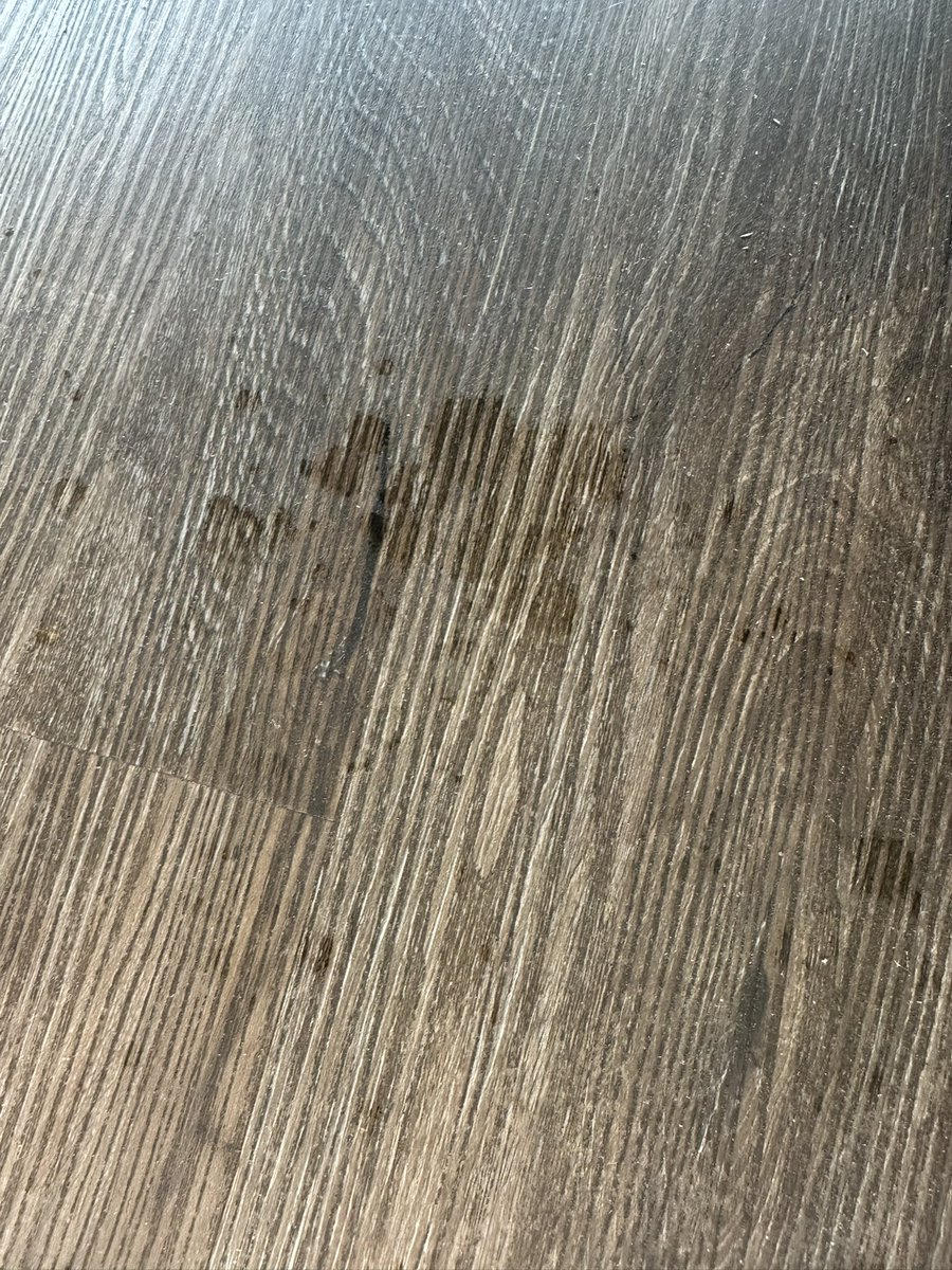 人妻调教师 tweet media