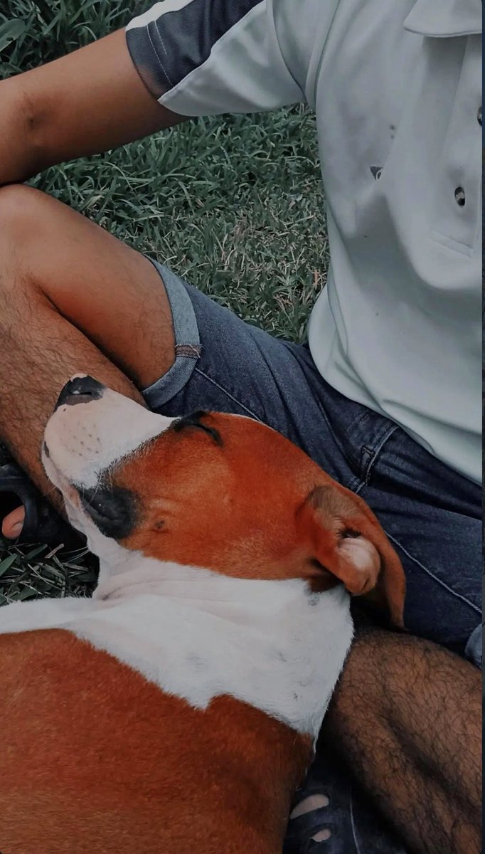 VJALMAT's tweet image. Mi bb Hermoso