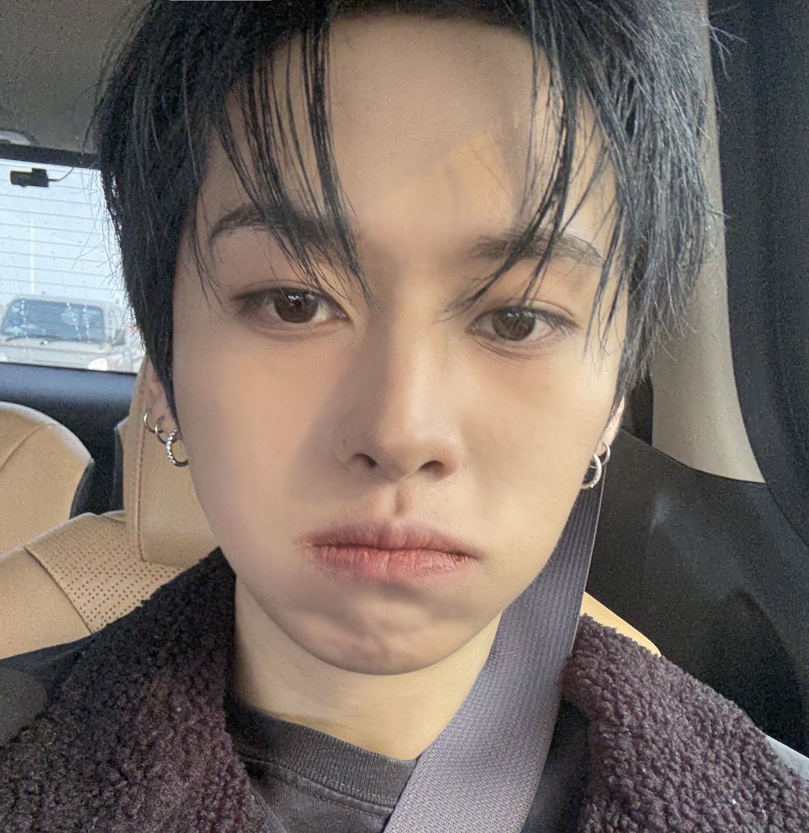 lee know as cats 🐱 tweet media