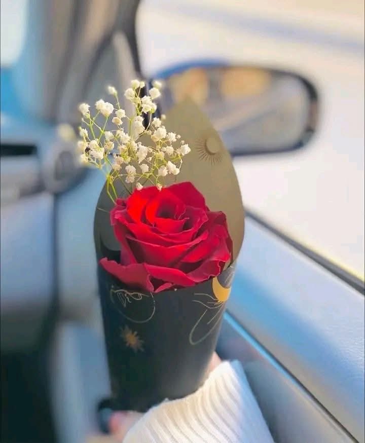 وتَظُنُّ من فَرطِ لُطفهِ بِكَ أَنَّكَ عـبدُهُ الوَحــيدُ..♡゙🍂

اللّهمَّ صبّحنا ببشائرِ جودك وكرمك
اللهمَّ صباحًا تبتسمُ فيهِ الأماني.  .