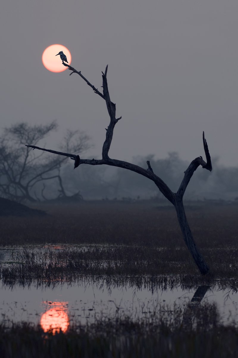 one of the hardest photos i have ever taken