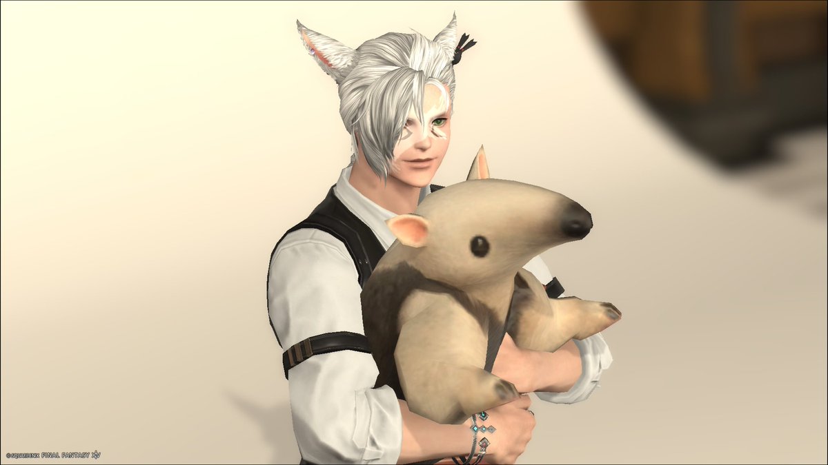 しのぶ 1/18【Elysian46】B15 (@Shinobu_FF14) / Posts / X