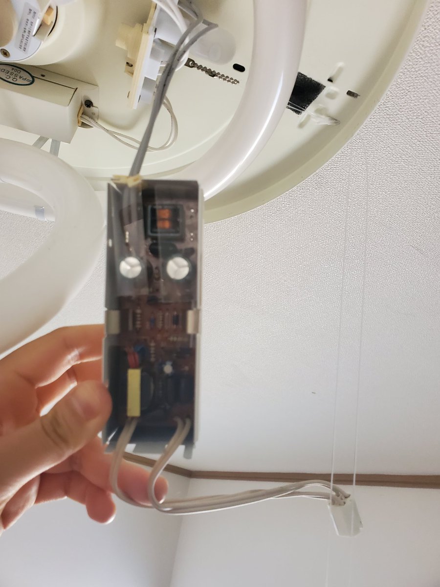 きまねこ tweet media