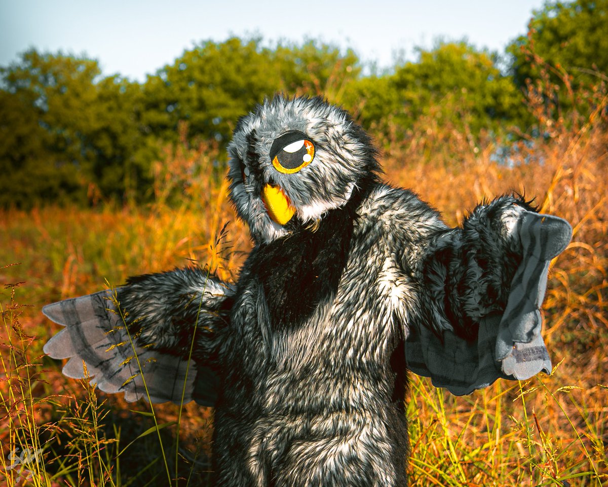 Bird is the word!! #FursuitEveryday 

📸 <a href="/SilySox/">Sox</a>