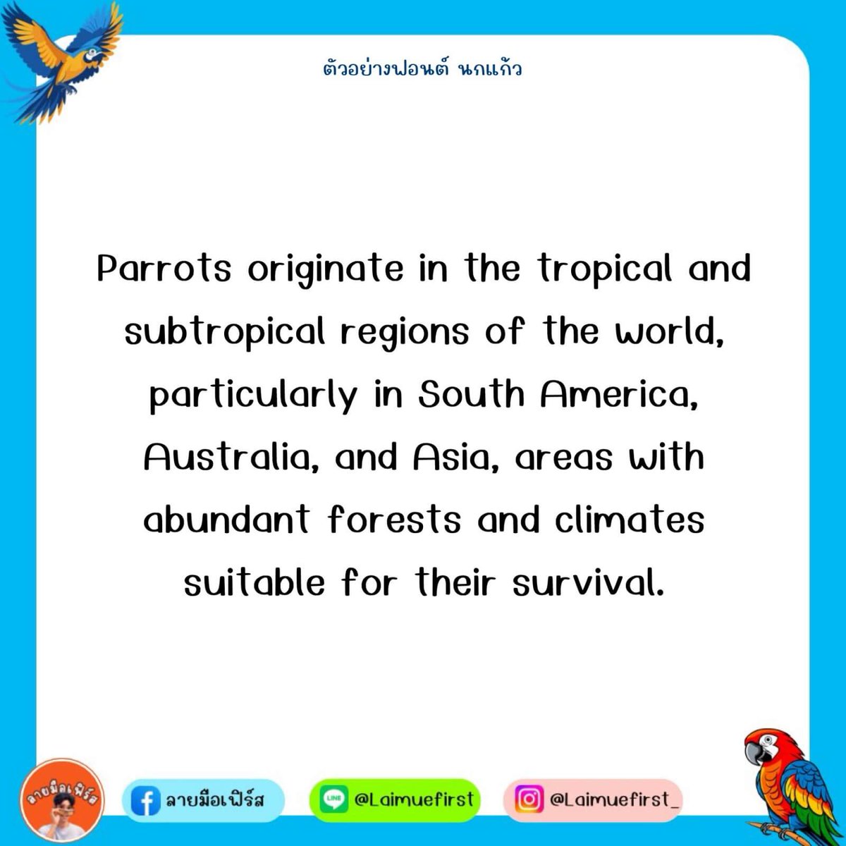 ฟอนต์.คอม tweet media