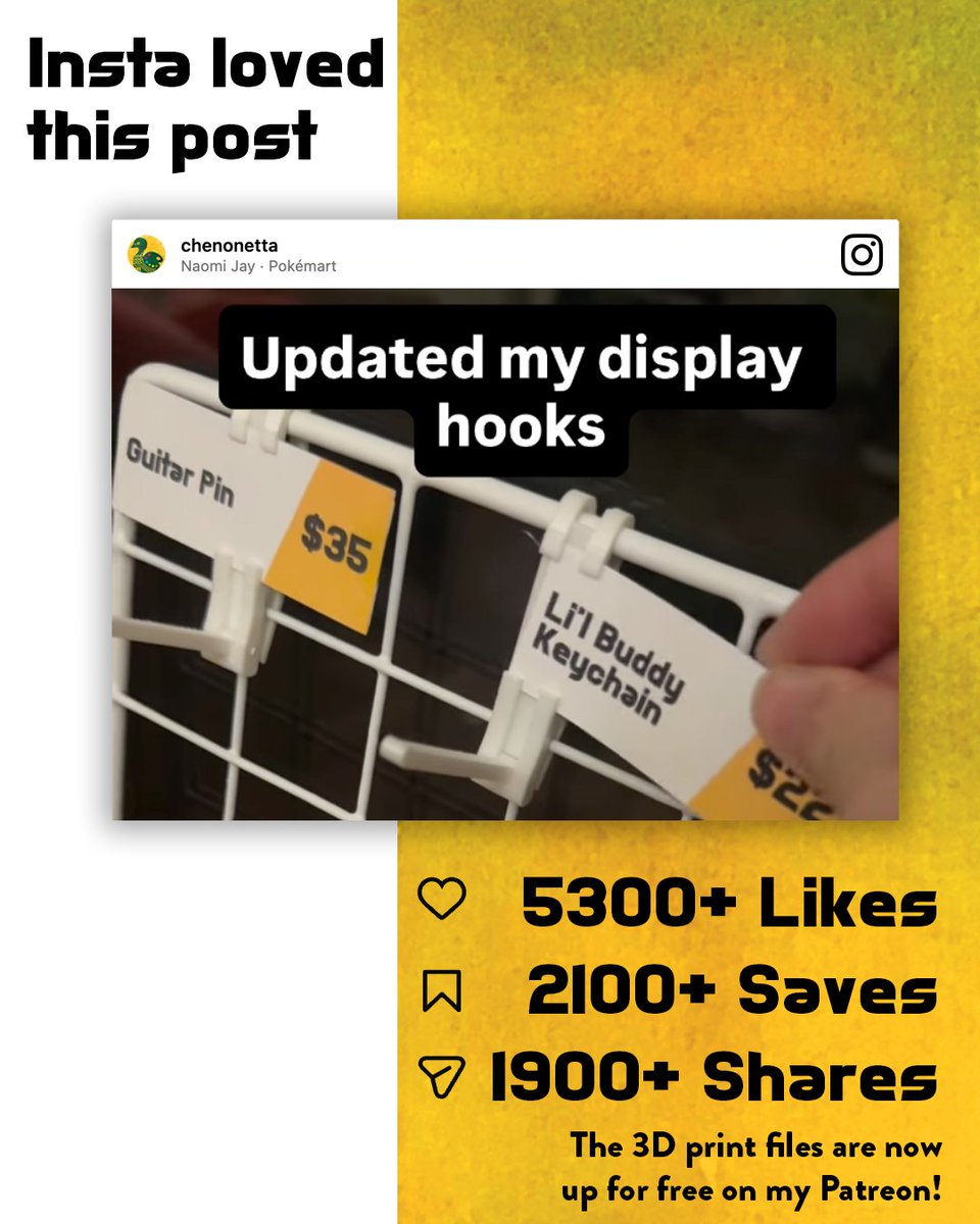 Chenonetta tweet media