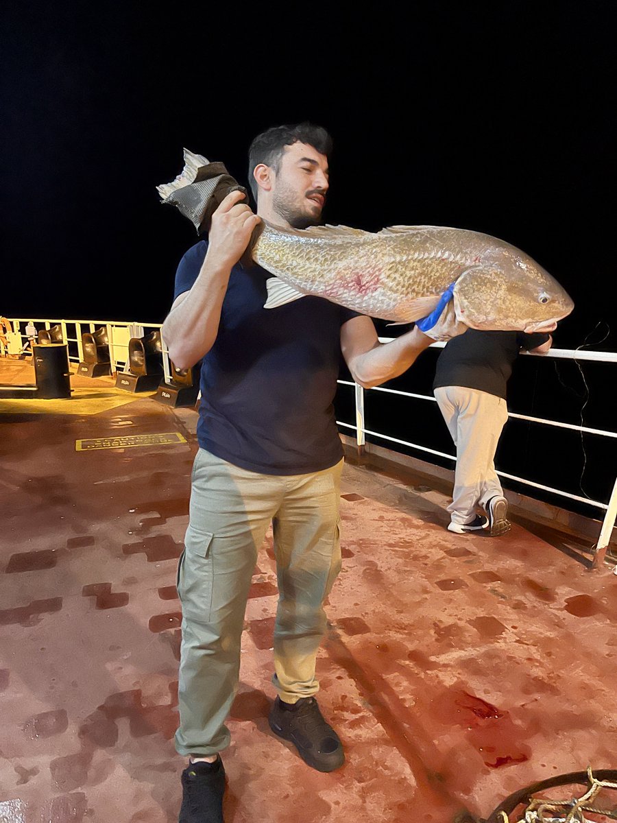 karakocemekk's tweet photo. Kısa bir güreşten sonra arkadaşı güverteye ikna ettim https://t.co/3kzINmW81g