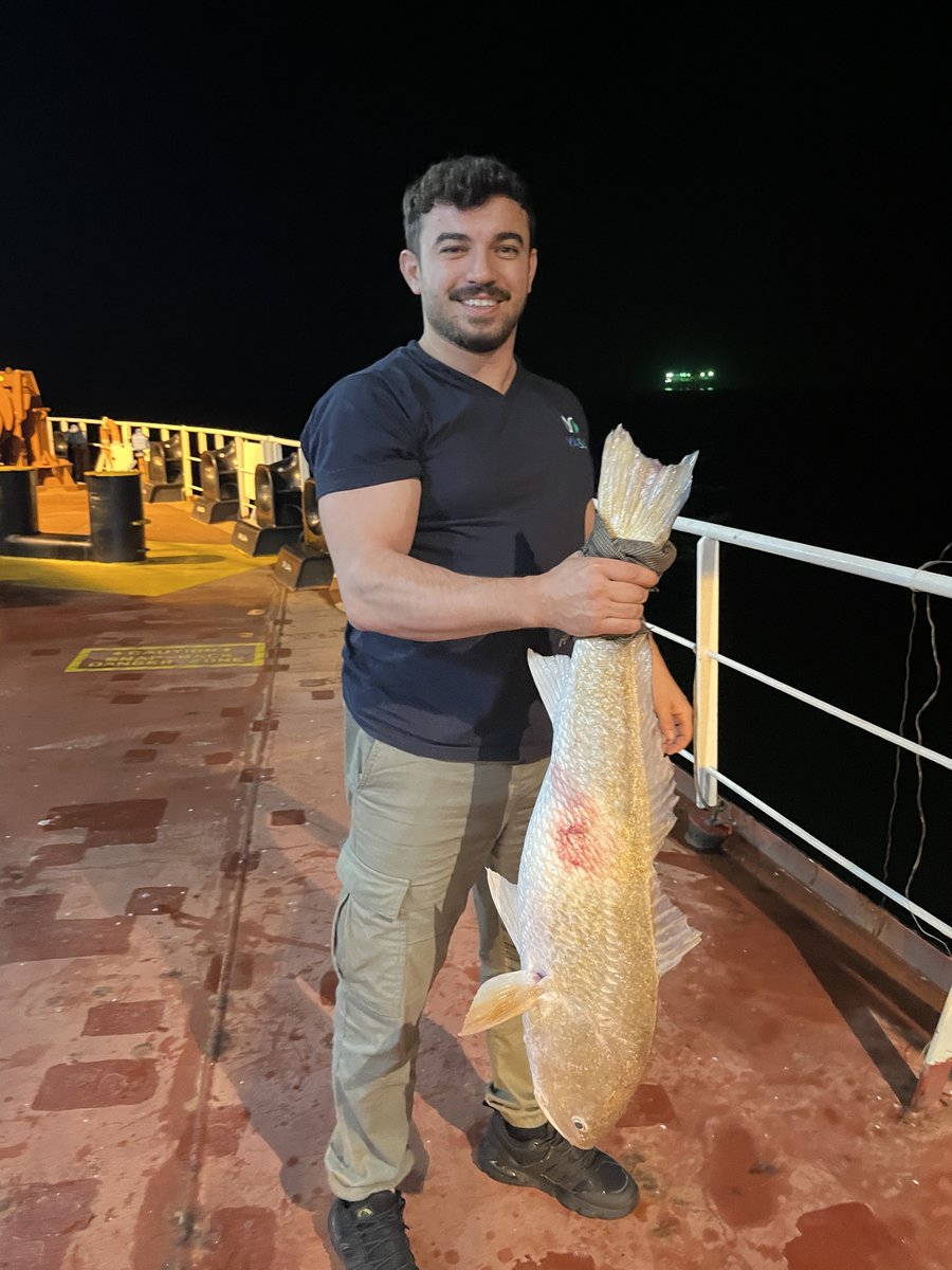 karakocemekk's tweet photo. Kısa bir güreşten sonra arkadaşı güverteye ikna ettim https://t.co/3kzINmW81g