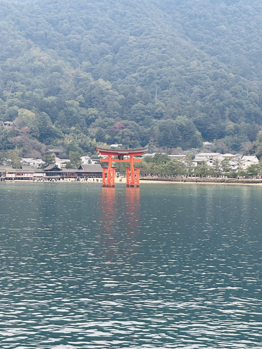 猫乃メメ🐈‍⬛🐾ゆるかっきー (@nekonomeme3) / Posts / X