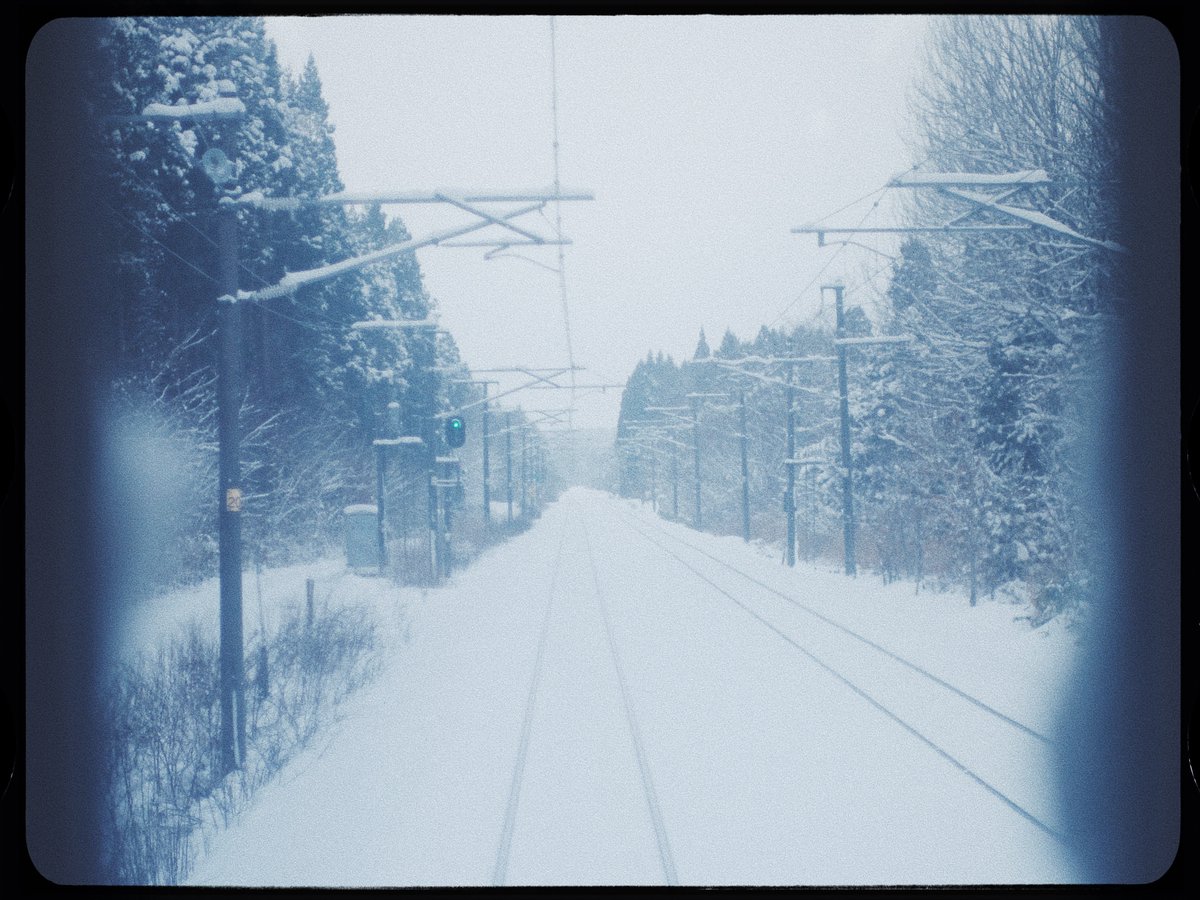 ﾅｶｼﾏ tweet media