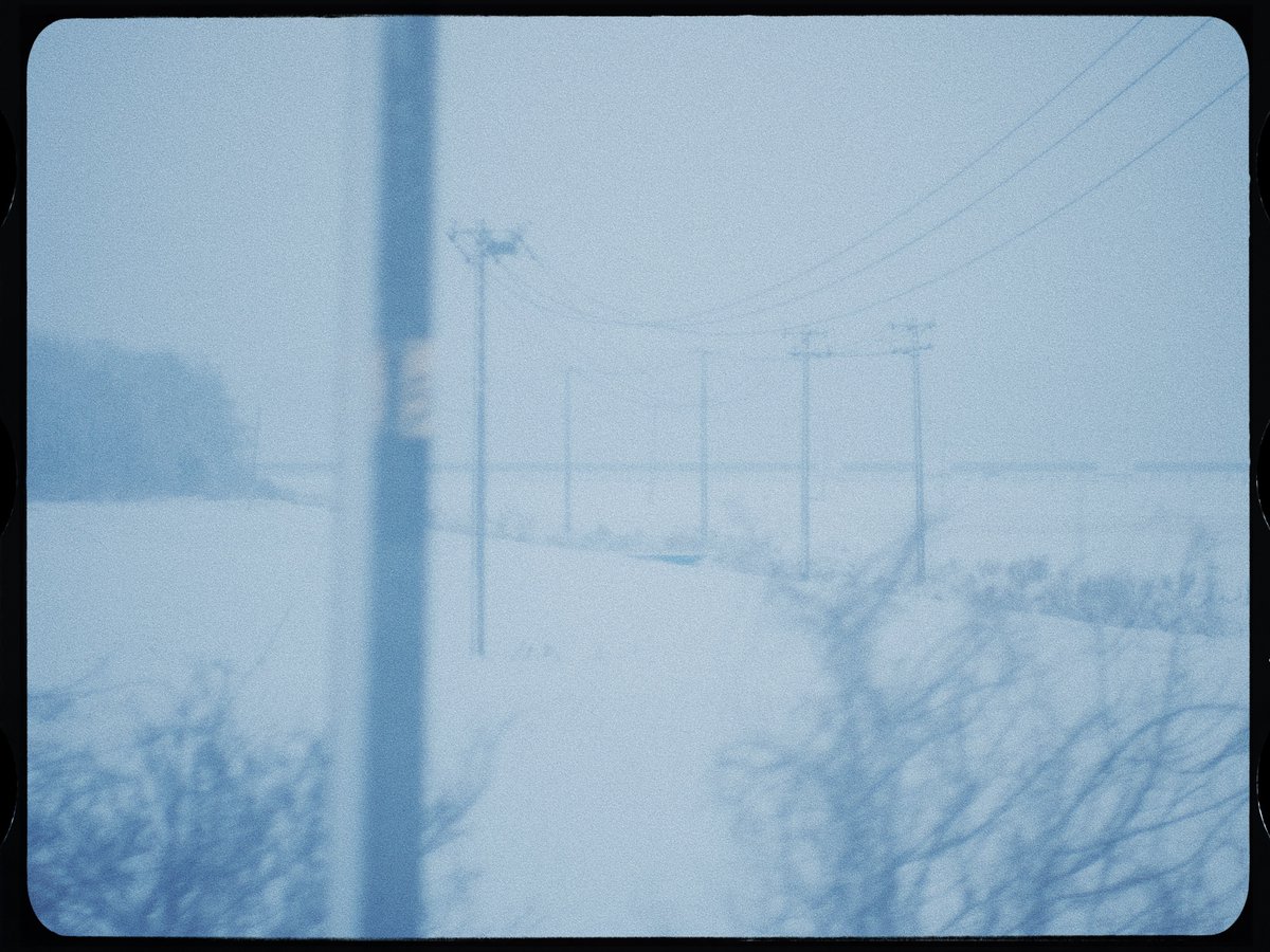 ﾅｶｼﾏ tweet media