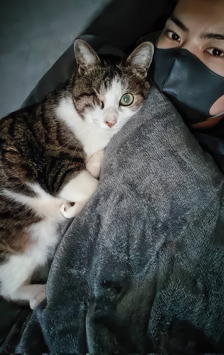 shippoXqueue's tweet photo. クリスマスイブから今まで風邪で猫んでいる。心配(？)してくれるしっぽと太陽に愛されるくぅ。 https://t.co/wHY6FstCaD