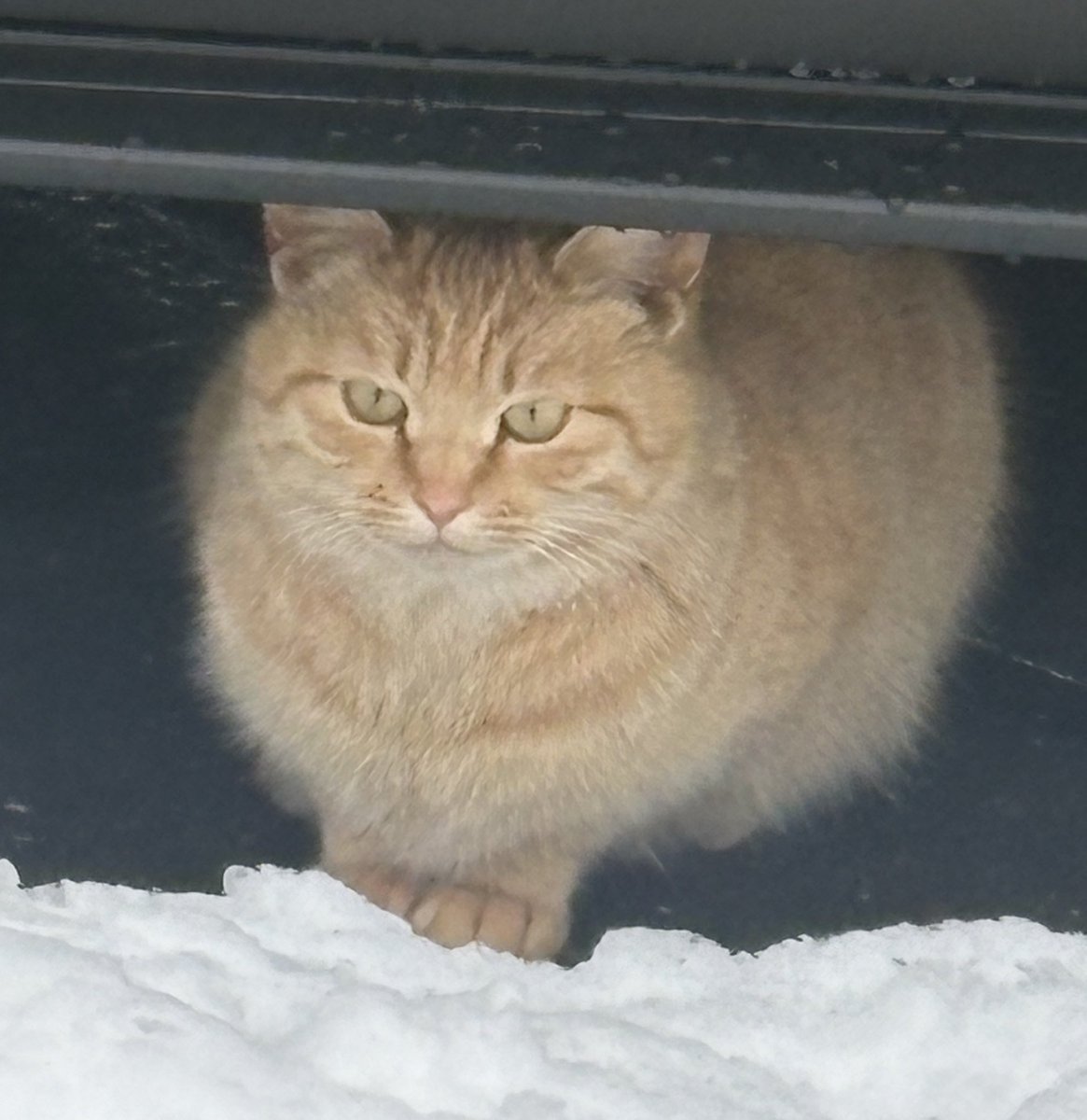 お豆ちゃん様ご確認ページ！ 😈❤️𓂃 𓈒