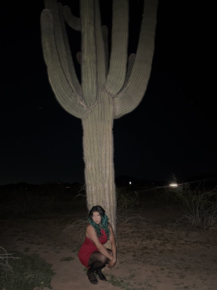 Nicole🏜️ tweet media