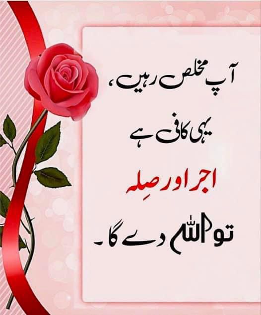 راستے دکھائی نہیں دے رہے یہ اہم نہیں ہے، اہم یہ ہے کہ آپکا یقین ہو کہ میرا اللہ راستے بنانے پر قادر ہے اور وہ ضرور  بنائے گا۔ ان شاء اللہ۔ ❤️ صبح بخیر ❤️