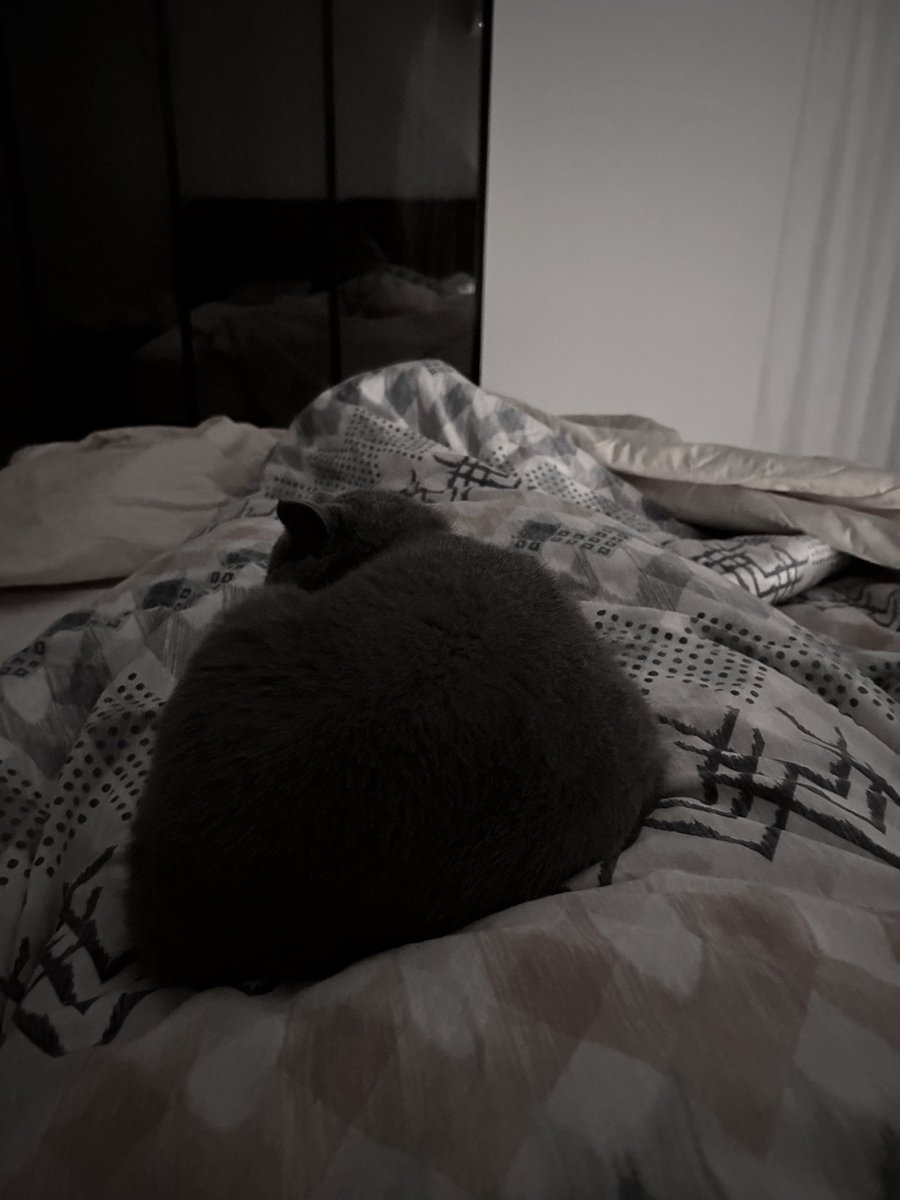 Günaydın aaat :7.00 
Sebep üzerimdeki 5 kg kedi #kırpık