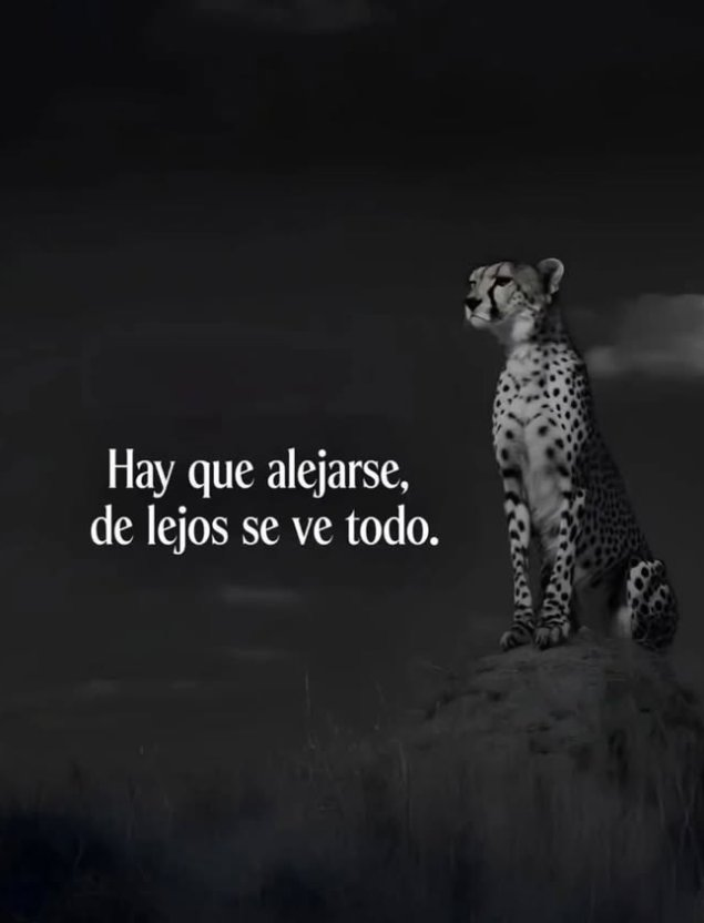 ImperioEstoico's tweet photo. https://t.co/thq5IJ23uh
