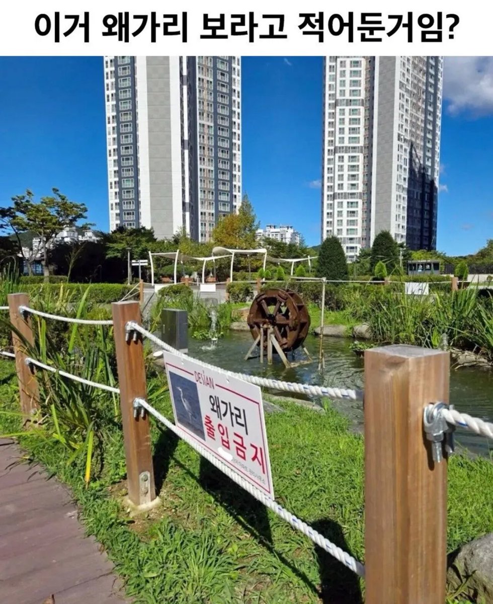 왜가리야 너 출입금지래