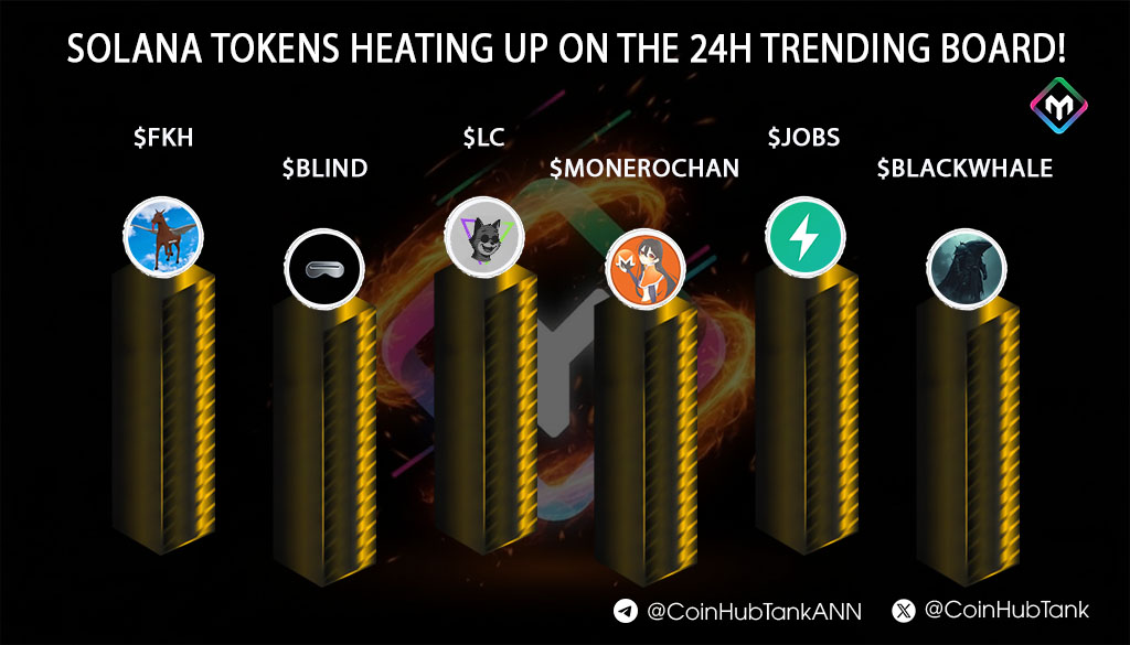 币圈小白白🔥 tweet media