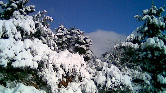 Κάθε φωτογραφία       
      είναι ένας μικρός θάνατος 
που αρνείται να πεθάνει ..... 
Μια ανάμνηση που δεν θέλει να χαθεί .... 
Μια απόπειρα να κρατήσουμε ζωντανό 
           κάτι που ο χρόνος θέλει να σβήσει........
📸 ...........