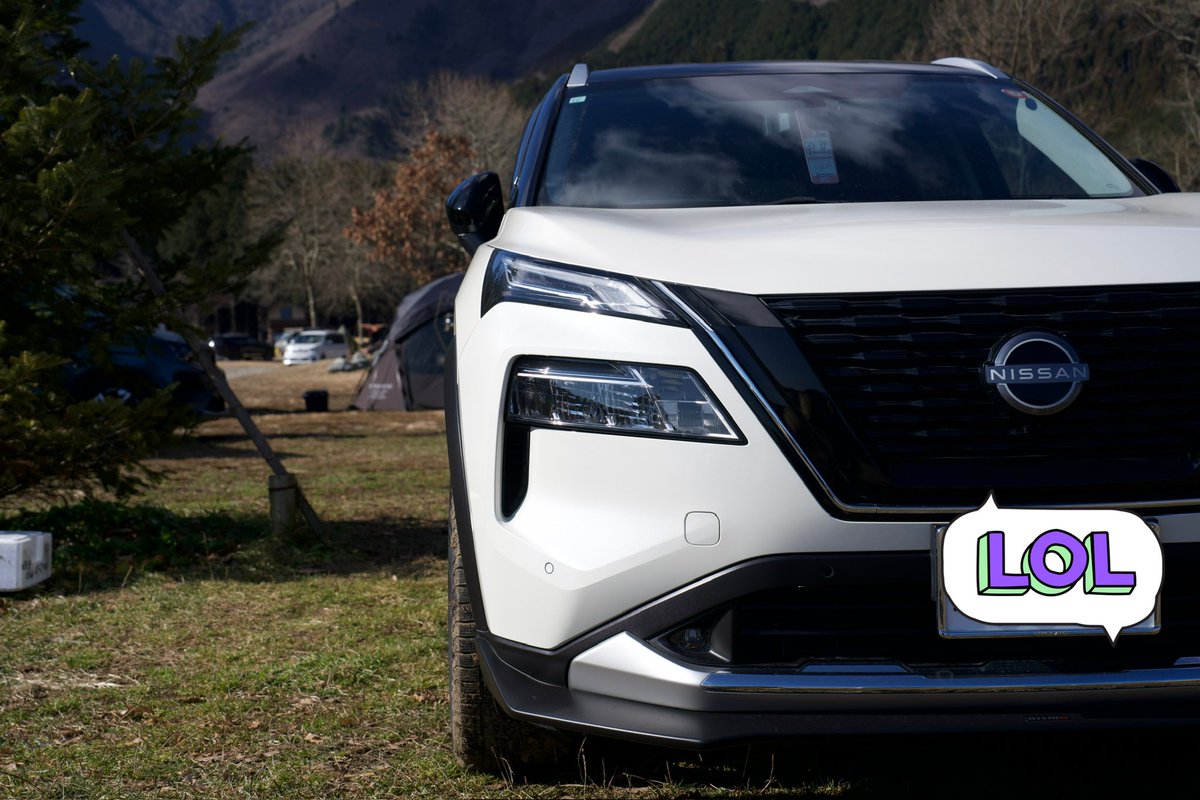 天気も良いので、撮活が捗る