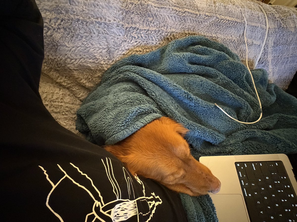 sometimes she eats too much snow and gets cold and shivery so i have to wrap her up in a blanket like this
