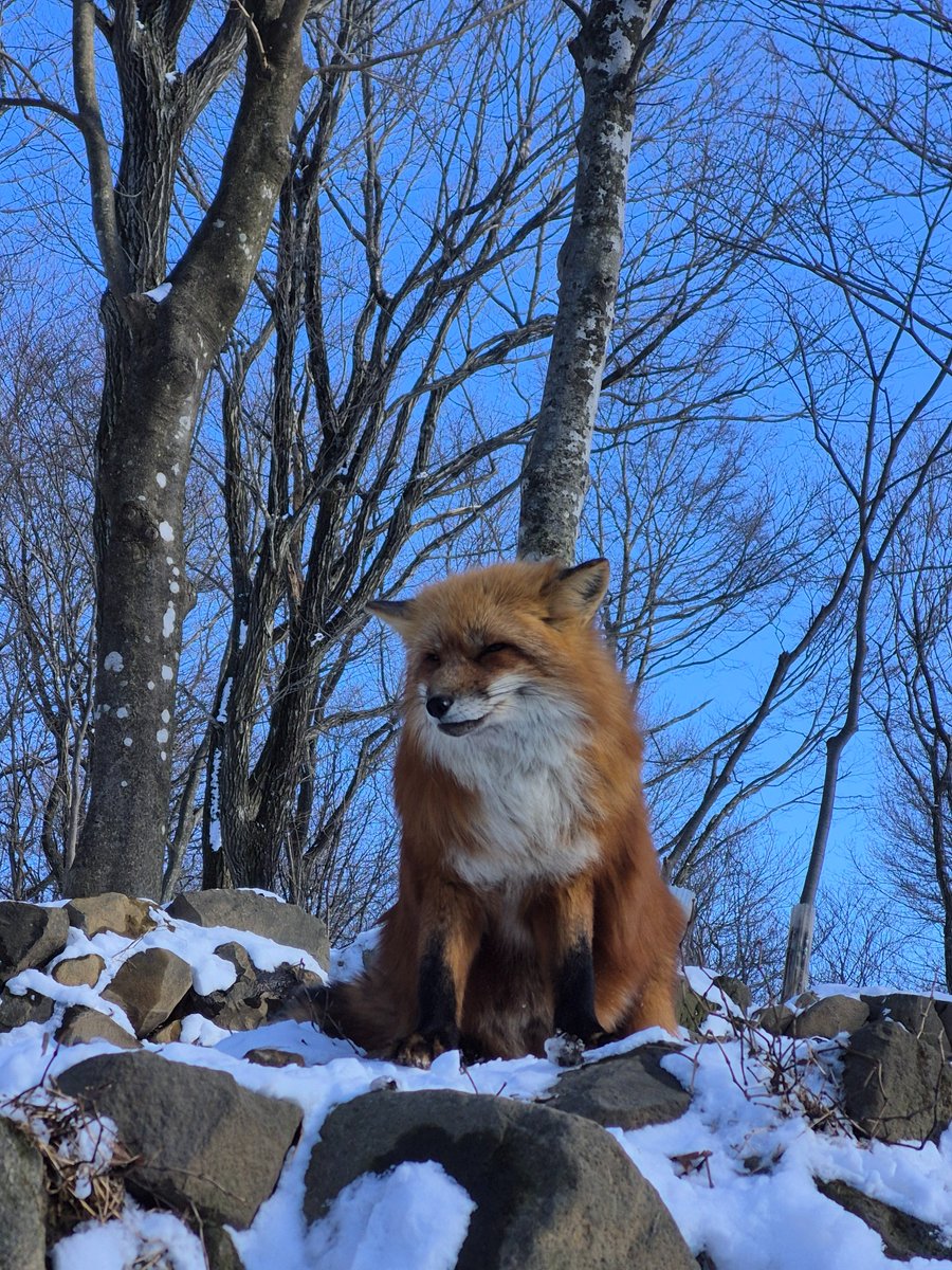 雲ひとつない快晴☀
