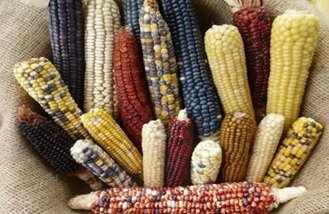 Rambimin mücizeleri her biri farklı renk farklı özellikte