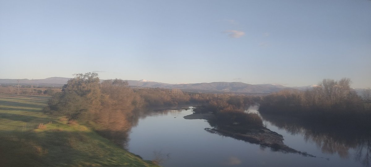 Manuel San tweet media