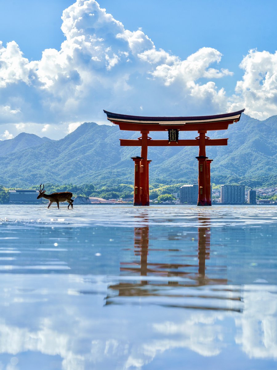 この夏宮島で見た神秘的な光景