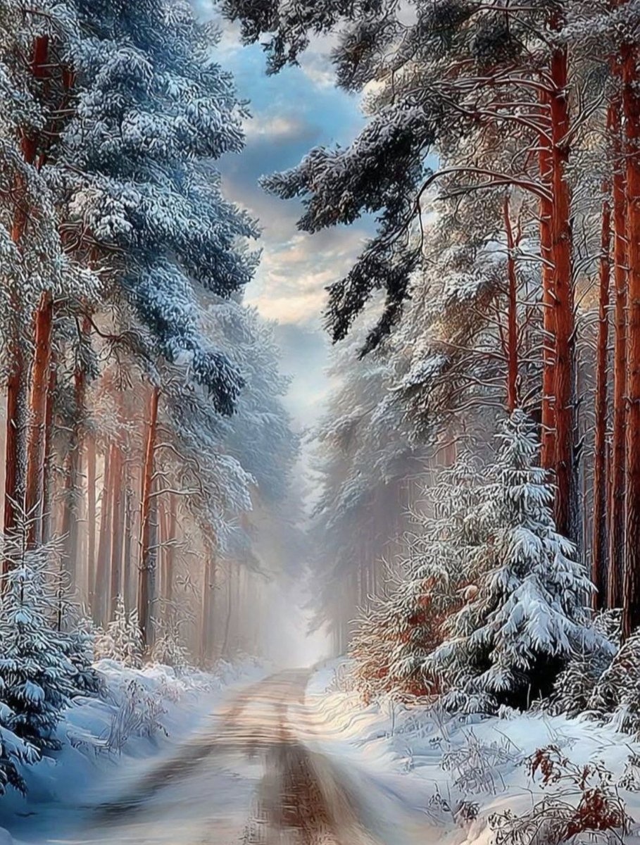 Leonor08159041's tweet image. Happy new week ❄️💙