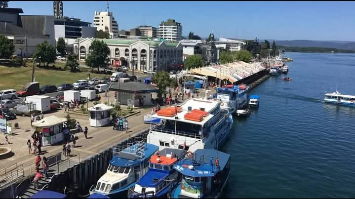 Cabañas, Departamento, Habitaciones en Isla Teja, Arriendo Diario y Mensual 2026 a 6 cuadras Universidad Austral,  Centro de Valdivia y Costanera cerca de Varios Parques, Ríos, Puentes,Museos, Restaurantes, Estacionamientos consultas y Reservas Whatsapp+56995511149.#Valdiviacl