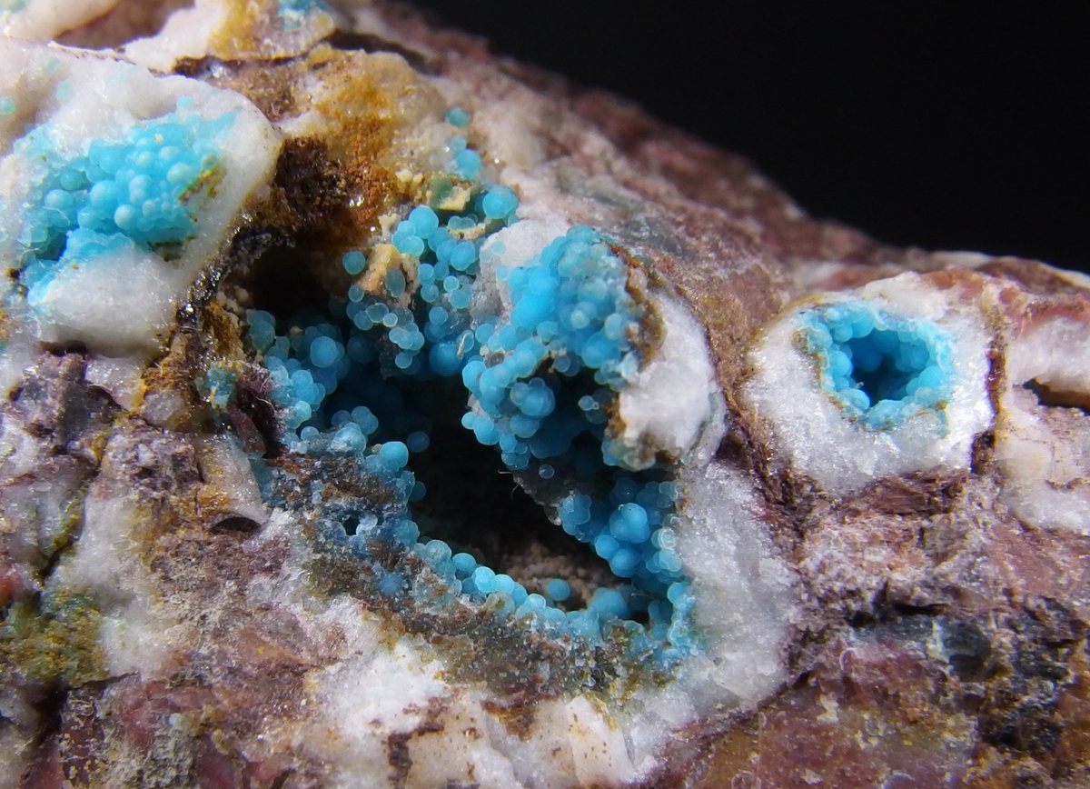 BlueColundum's tweet image. 12月も残り僅かなのでトルコ石
ベルギー、アメリカ、栃木、スペイン