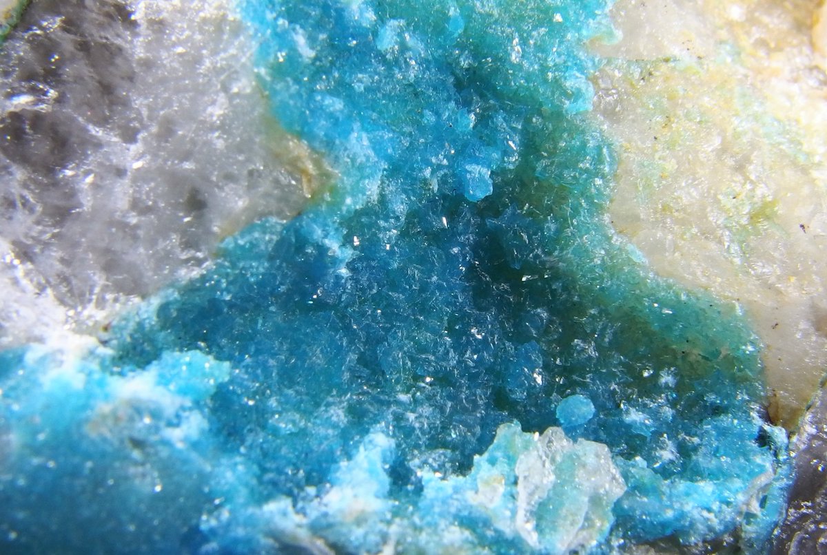 BlueColundum's tweet image. 12月も残り僅かなのでトルコ石
ベルギー、アメリカ、栃木、スペイン