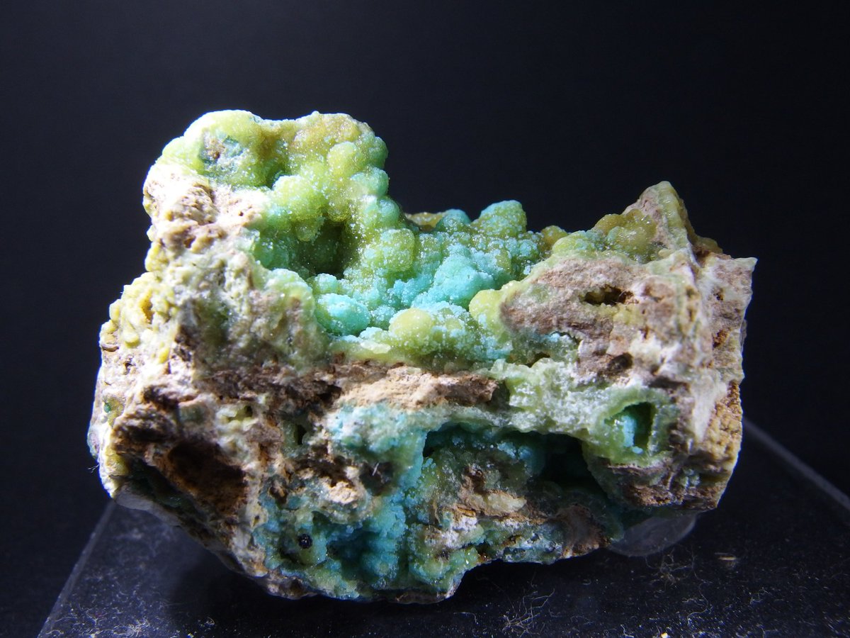 BlueColundum's tweet image. 12月も残り僅かなのでトルコ石
ベルギー、アメリカ、栃木、スペイン