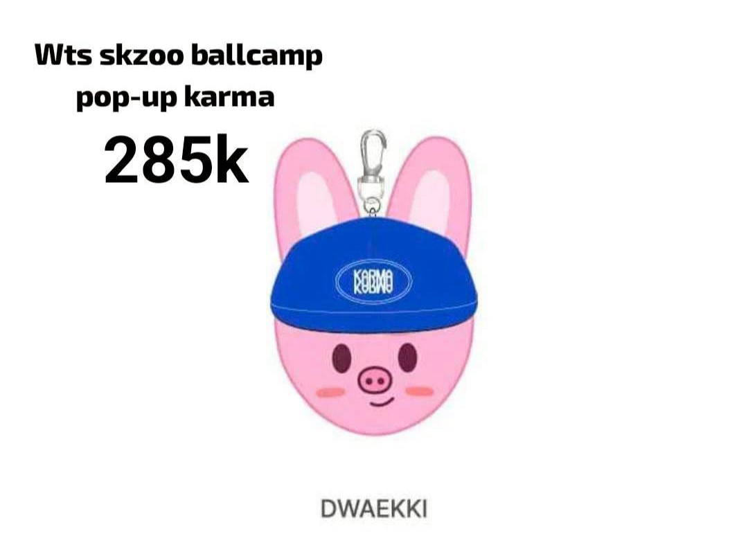 fadilah_005's tweet photo. Wts boleh nego skzoo ballcamp dwaekki 
@staysellings 
Dom sumatra 

#wtsskzoo 
#skzoo 
#straykids https://t.co/iyOMK9PSct