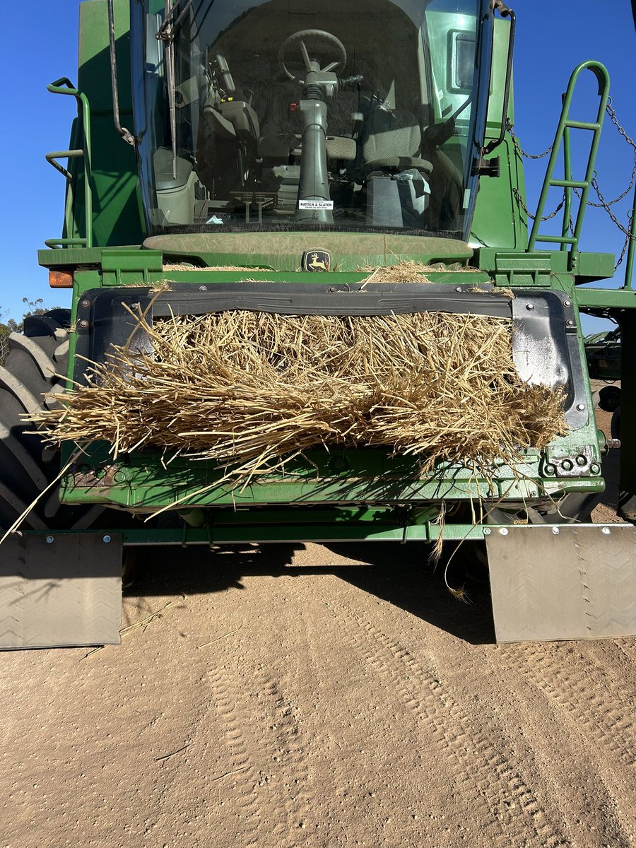 JJB McGill esquire Hoolz. living on McGill land tweet media