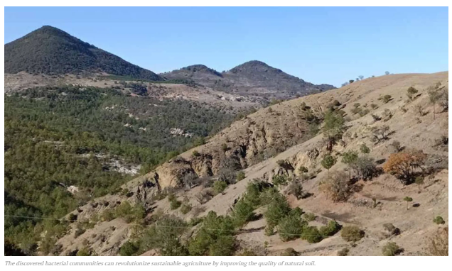 Mexican scientists discover an “army” of bacteria that could boost sustainable agriculture

soundnlight.in/mexican-scient…

#SLSV #SLSVIndia #SustainableAgriculture #SoilHealth #AgriInnovation #MexicanScience #Microbiome #EcoFriendlyFarming #ClimateSmartAg  #FutureOfFarming <a href="/UNESCO/">UNESCO 🏛️ #Education #Sciences #Culture 🇺🇳</a>