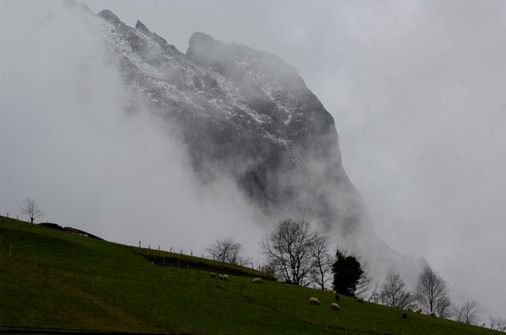 IrekiaEJGV tweet media