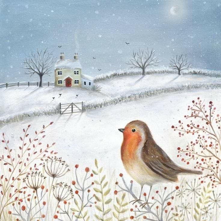 European Robin in winter

Ileana Oakely 🎨