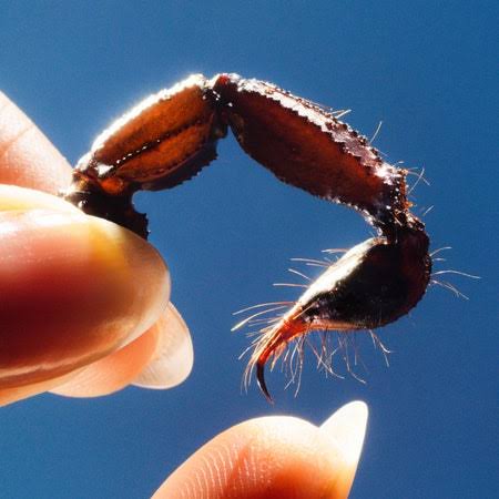 Squid | Cowards

This is what Geese's 'Getting Killed' wants to be.

Only joking, but the similarities are multiple. And for my money, this pulls them off better.

Regardless, my #5albums25 is nearly closed off, so there's no room for this splendid sociopolitical album.