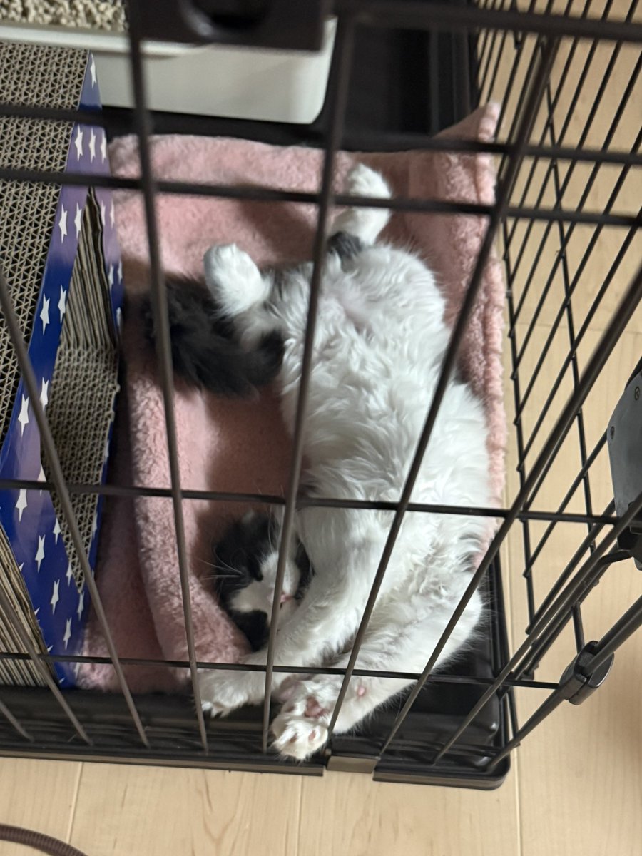 リラックスしてますなぁ