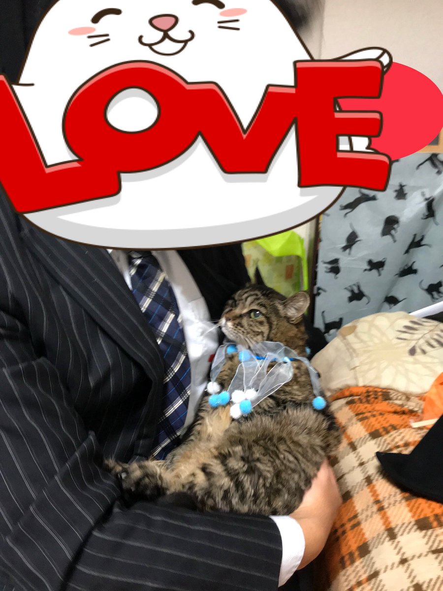 12/25は誕生日でした。
今年はバタバタしてて少し投稿が遅れたけど
誕生日に合わせてプレゼントをくれたり
ケーキも注文してくれたお友達、凄く嬉しかった。母に代わってお礼の言葉をお伝えします☺️
いつも本当に有難うございます☺️

＃クリスマス 
＃誕生日