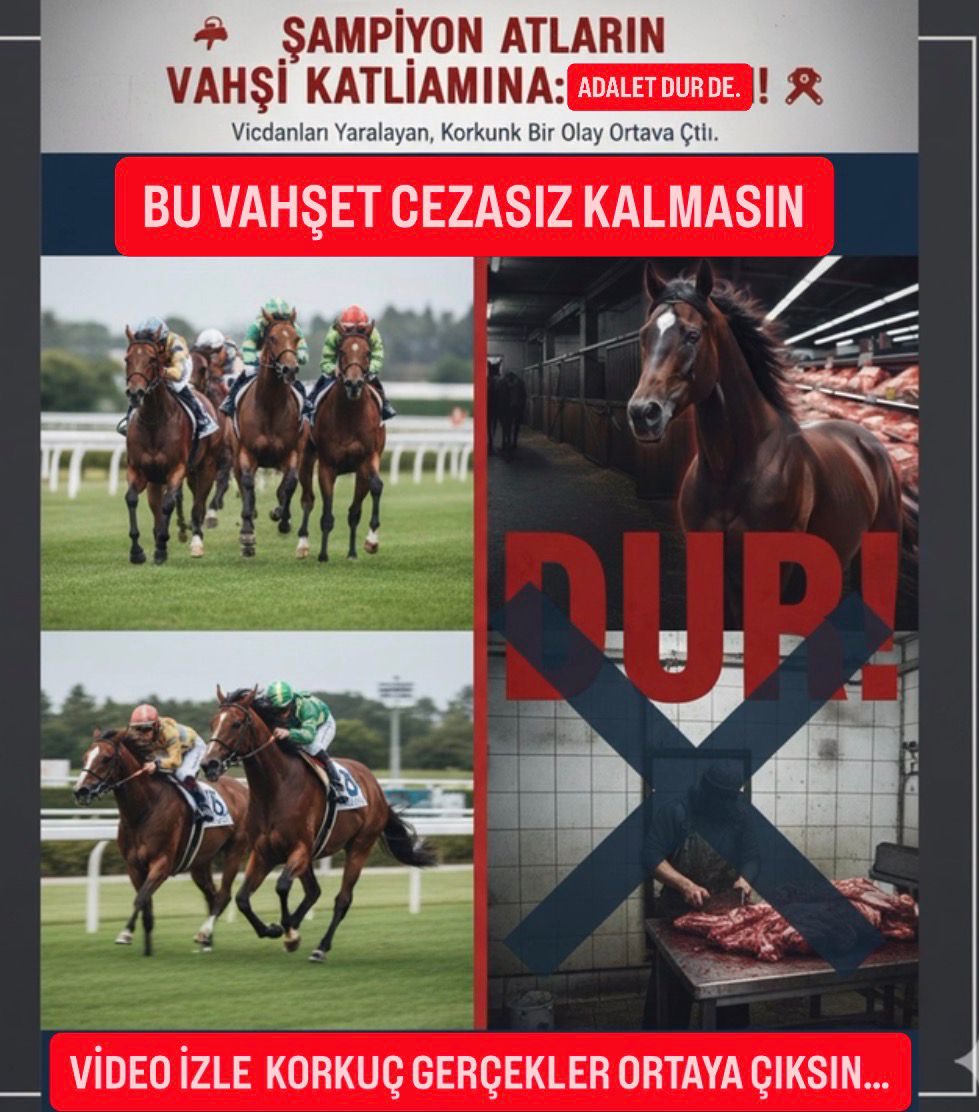 📣Şampiyon Atların Katli ve Gıda Güvenliğindeki Büyük Tehlike

Bu dilekçeyi göndererek ve dilekçe kampanyasını paylaşarak bana destek olur musun?🙏 

jointvoice.com/campaign/551/