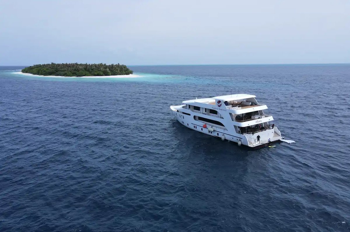LiveaboardCom's tweet image. 30% OFF Maldives liveaboard escapes 🇲🇻

Cruise the Maldives aboard MV Adora — small groups, comfy cabins &amp;amp; epic marine life like Mantas, Whale Sharks &amp;amp; sharks. Dive from a dedicated dhoni and relax between dives on the sundeck.

Jan–Apr departures 👉
 liveaboard.com/diving/maldive……