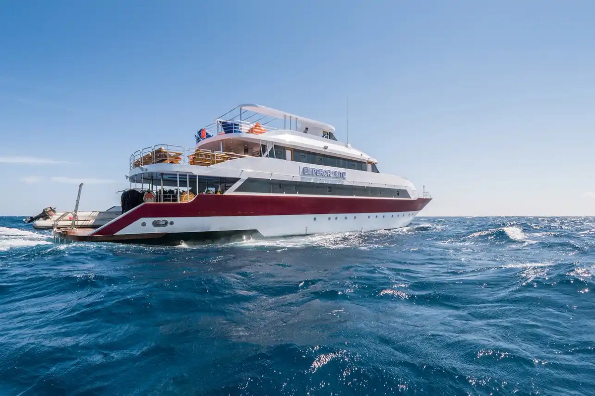 LiveaboardCom's tweet image. 30% OFF Red Sea liveaboard trips 🇪🇬

Explore legendary sites aboard Emperor Elite — comfort-focused cabins, guided dives, free Nitrox, wine with dinner &amp;amp; no hidden fees.

📍 Feb–Mar departures
👉 liveaboard.com/diving/egypt/e…
#RedSeaDiving #LiveAboard #ScubaDiving