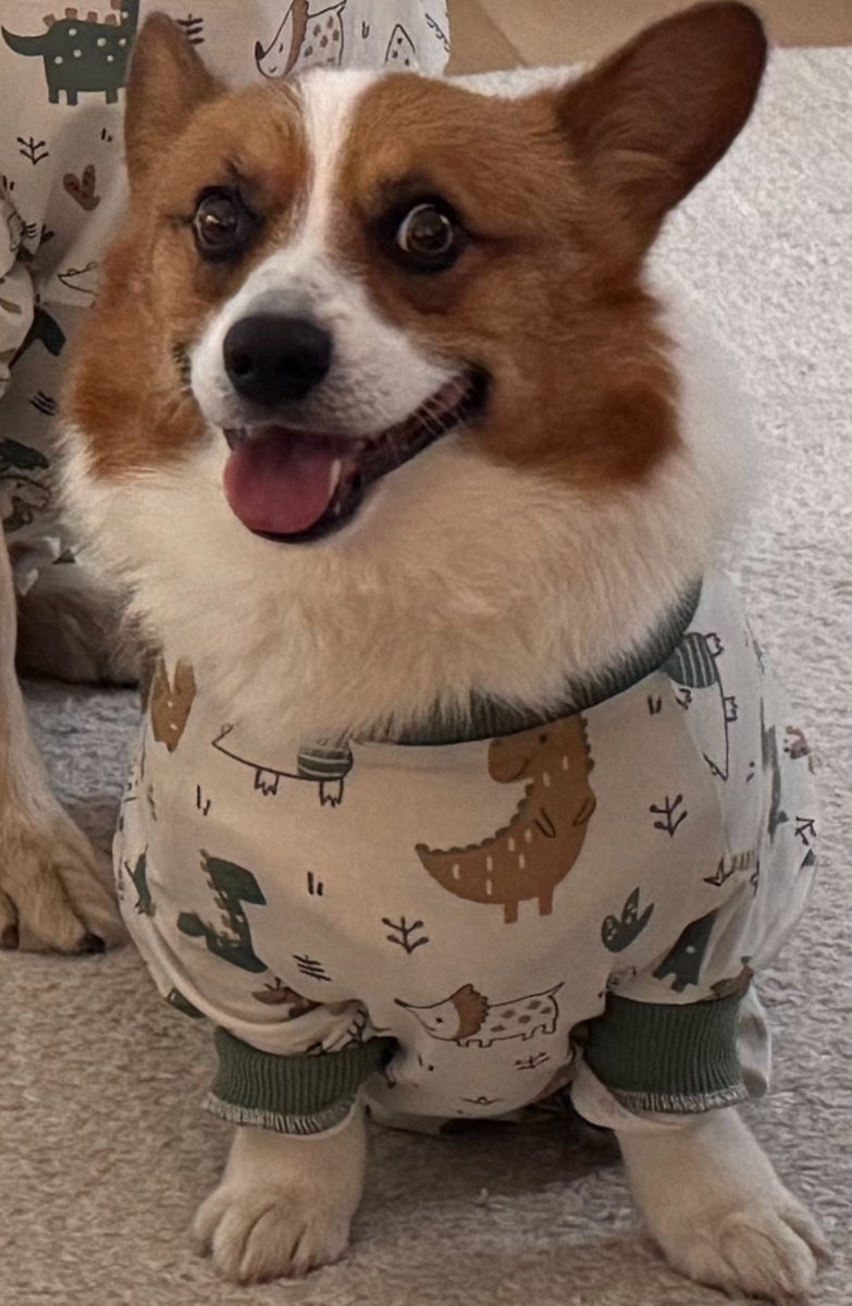 Alex Becker 🍊🏆🥇 tweet media